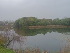-艾溪湖湿地公园