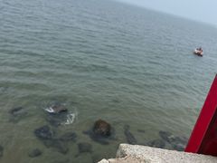 -老龙头景区