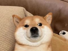 -树夏(春熙路百盛店)