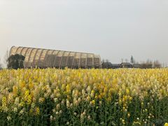 -中国天府农业博览园