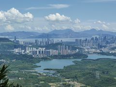 -阳台山森林公园