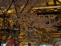 -上海瑞金洲际酒店
