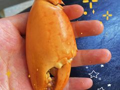 -杨记海鲜楼(三门黑金冠店)