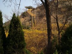 -南山健身公园