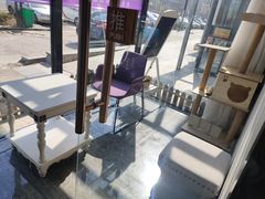 -宠爱国际动物医院· 猫科· 外科·中兽医(长白店)