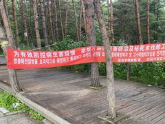 -帽儿山国家森林公园