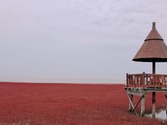 -红海滩国家风景廊道