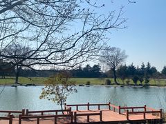 -东方绿舟景区