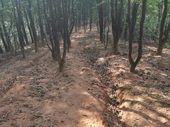 -火炉山森林公园