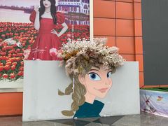 -荷兰花海