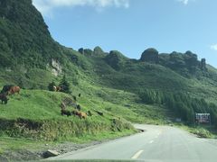 -山王坪喀斯特国家生态公园