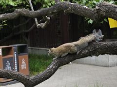 -宣武艺园