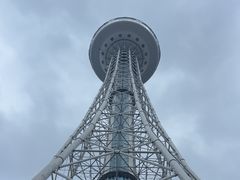-龙塔