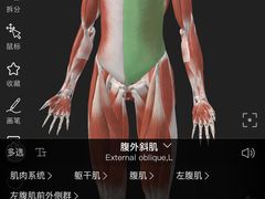 -锐动健身游泳(博地中心店)
