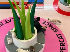 -福田卓悦INTOWN购物中心