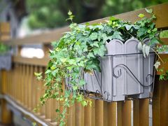 -丝绸小镇荻港古村