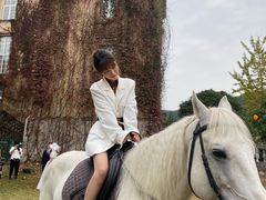-梦娜斯庄园