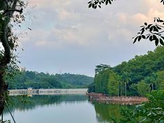 -番禺大夫山森林公园
