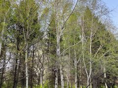 -长春市南湖公园