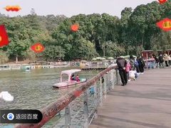 -莲花山公园