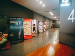 -沃美影城焕影岛LED/中国巨幕(万象汇店)