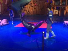 -烟台海昌鲸鲨海洋公园