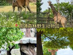 -南通濠河风景名胜区