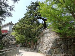 -阳台山自然风景区