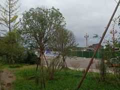 -朵瑞卡蛋糕(创意店)