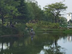 -金银湖国家城市湿地公园