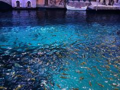 -西安华夏文旅水世界