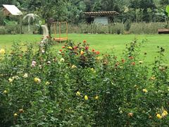 -三圣花乡旅游区