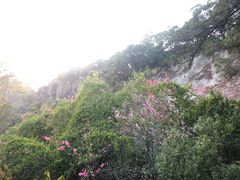 -金鸡山公园