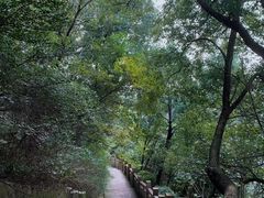 -杭州半山国家森林公园