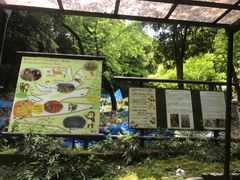 -岚山猴子公园