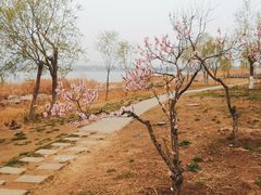 -绿堤公园