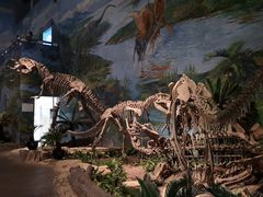 -自贡恐龙博物馆