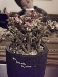 -TWOFACE 双面理发馆