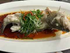 -院里寻菜·精致庭院菜(观沙岭店)