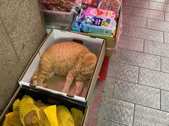 零售区-甜甜屋(解放中路店)