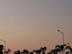 -海堤纪念公园