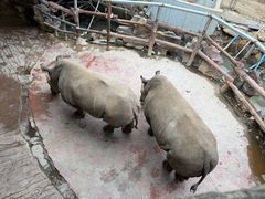-长鹿旅游休博园