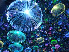 -成都梵高星空艺术馆(春熙路旗舰店)