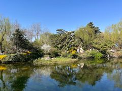 -趵突泉景区