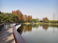 -四海公园(南山区)