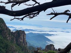-黄山风景区