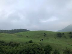 -大姆山草场