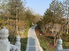 -西海子公园