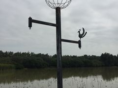 -大湾区中央湿地公园
