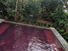 -仁爱团泊湖温泉中心